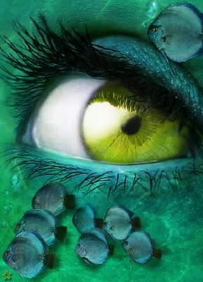 File:Colored Contacts.jpg.jpg