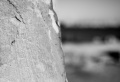 Job In 20110014.jpg